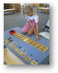 Montessori Preschool/Kindergarten in Crystal Lake - Math