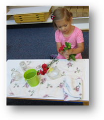 Montessori Preschool in Lake in the Hills - Flowers