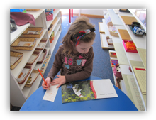 Montessori Kindergarten Preschool in Crystal Lake - Math