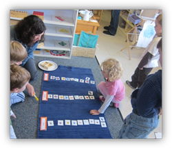 Montessori Preschool School in Crystal Lake, Algonquin, IL