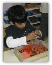 Montessori Preschool School in Crystal Lake, Algonquin, IL