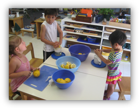 Montessori Summer Camp in Crystal Lake, Lake in the Hills