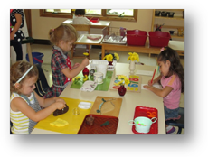 Montessori Preschool in Crystal Lake, Cary, Lake in the Hills, Algonquin