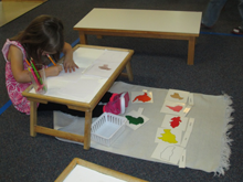 Montessori Kindergarten in Crystal Lake, Cary, Lake in the Hills, Algonquin