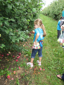 Montessori Kindergarten in Crystal Lake, Cary, Lake in the Hills, Algonquin