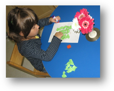 Montessori AllDay DayCare in Crystal Lake, Cary, Lake in the Hills, Algonquin