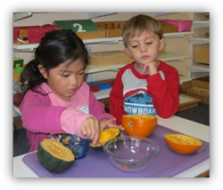 Montessori Preschool in Crystal Lake, Cary, Lake in the Hills, Algonquin