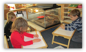 Montessori Kindergarten in Crystal Lake, Cary, Lake in the Hills, Algonquin