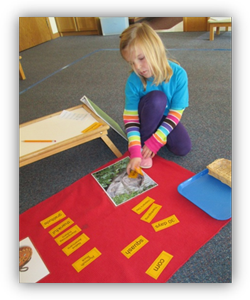 Montessori Kindergarten in Crystal Lake, Cary, Lake in the Hills, Algonquin